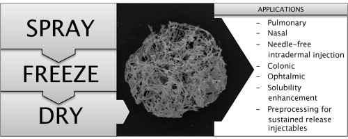 Graphic which swows the three phases of pharmaceutical spray - freeze - drying and the applications of it