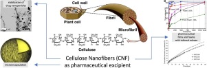 In this review, the use of Cellulose Nanofibers in drug formulation with a focus on poorly soluble drugs is featured.