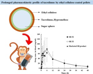 Graphical explanation of thyl cellulose-coated sustained release multiple-unit system and in vivo study results