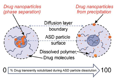 Graphic which shows Amorphous Solid Dispersion Particles during dissolution