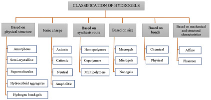 Overview of the six different groups of hydrogels based on criteria like physical structure and size