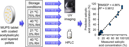 UV imaging of multiple unit pellet system tablets.