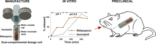 dual-compartmental dosage units were designed in silico by computer aided design (CAD) and fabricated in two steps; first three-dimensional (3D) printing of the outer structure, followed by hot-melt extrusion (HME) of the drug-containing filaments