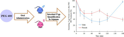 Graphical overview of sex influences of excipient PEG 400 and analysis results