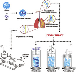 Effect of powder properties on the aerosolization performance of nanoporous mannitol particles as dry powder inhalation carriers