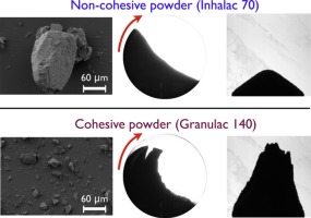 Lactose powder cohesive and non-cohesive