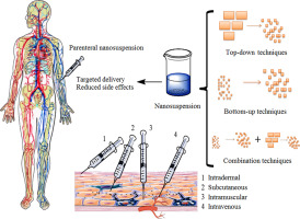 Graphic which shows the different usages of parenteral nanosuspensions in Pharmaceutics