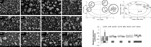 Comparative evaluation of powder flow parameters with reference to particle size and shape