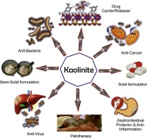 Kaolinite strongly interesting for the developments in the pharmaceutical industry