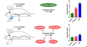 Overview graphic for effects of three absorption-modifying critical excipients
