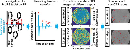 Terahertz pulsed imaging was used to analyse the inner structure of multiple unit pellet system (MUPS) tablets.