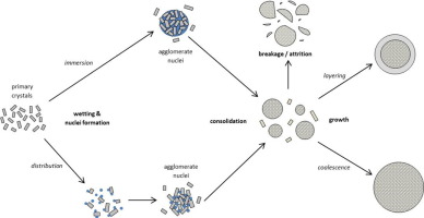 Graphic shows particle process during spherical agglomeration for pharmaceuticals