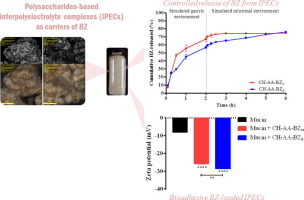 Microscope photo and analysis results for interpolyelectrolytes as carriers of drugs