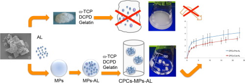 Solid Lipid Microparticles (MPs)  as carrier for bisphosphonates due to the favourable biocompatibility and lower toxicity of the lipids compared with many polymers.
