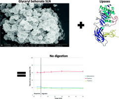 Digestibility of solid lipid nanoparticles of glyceryl dibehenate