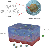 Graphic of hydrophilic high charge density core-shell nanocomplex