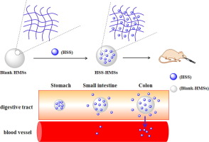 pH-sensitive hydrogel microspheres as carrier of hydrocortisone sodium succinate