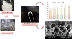 Overview graphic and analysis results polymer blending for buccal chitosan-based composite sponges