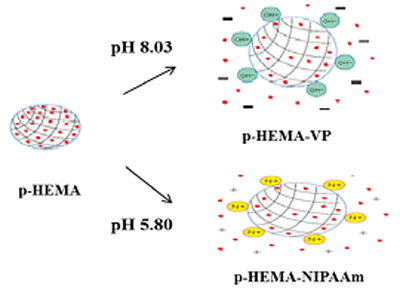 Graphic which shows that Hydrogel lens can be swelled or de-swelled depending on the pH of the solution.