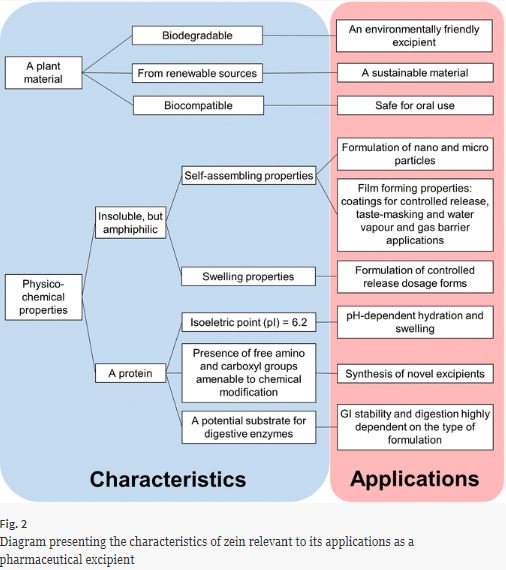 Overview graphic which shows the characteristics and application possibiliities of zein as a pharmaceutical excipients