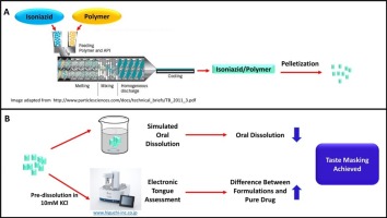 Graphic which show the hot melt extrusion process and the analysis steps for taste masking