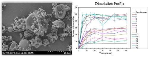 Ibuprofen solid amourphous dispersion