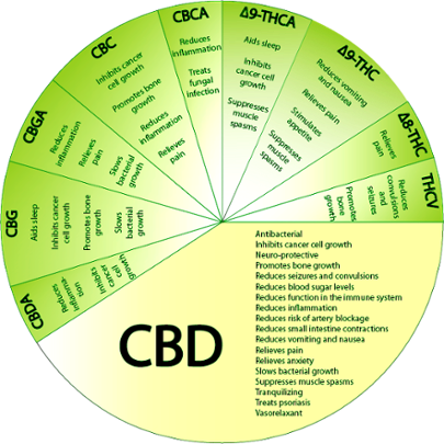 Graphic with various forms of medicinal cannabis and corresponding properties