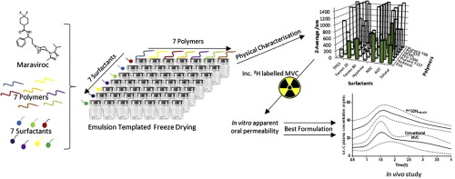 Production verview and analytic results for the formation of solid drug nanoparticles