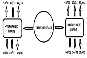 Graphic for Gelucire