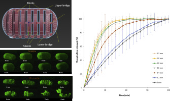 Structure graphic and analytic results of 3D printed cellulosic tablets