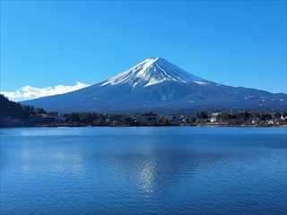 あ～心が洗われる・・・（2025.2.12）
