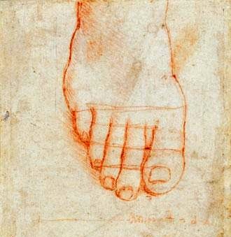 Leonardo da Vinci, "Studio di un piede con misure", circa 1490 (Windsor, The Royal Collection)