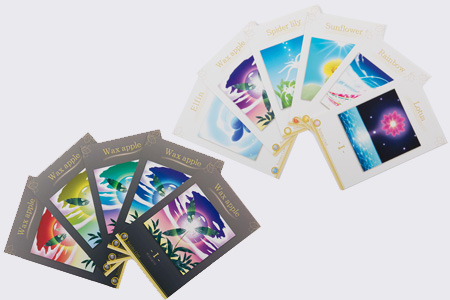 一般社団法人円心五法研究所 - weave a Story～紡つむぐ～