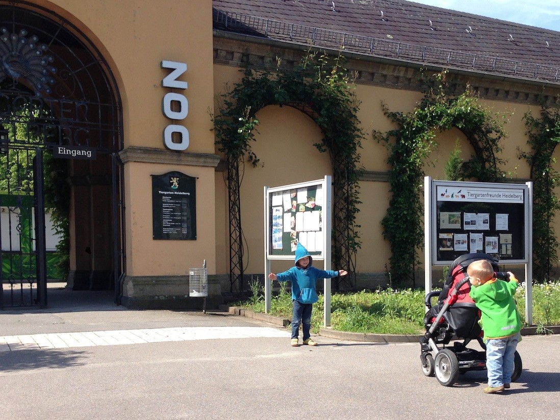 Und das wirklich fast den gesamten Zoorundgang.