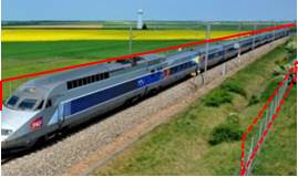 grillage longeant une ligne ferroviaire grande vitesse pouvant poser problème aux déplacements des grands animaux comme le cerf