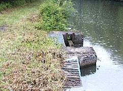 aménagement d'escaliers sur la berge d'un canal permettant aux animaux essayant de le traverser de remonter sur l'autre rive