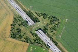 passage à faune aménagé pour permettre le passage d'animaux au dessus d'une autoroute