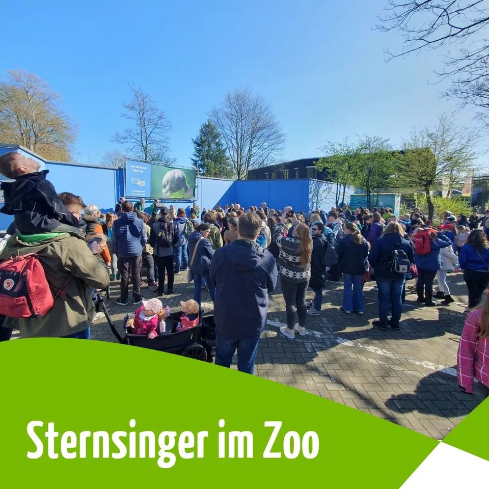 Ein großes Danke schön für die Sternsingerinnen