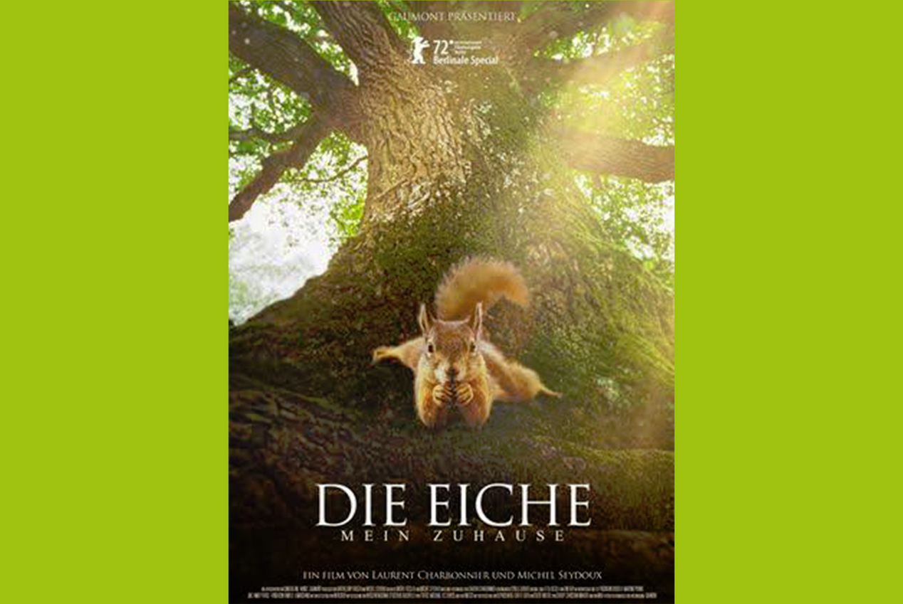 Beim Kino&Kirche Abend geht es um „Das wilde Leben vor der Haustür“