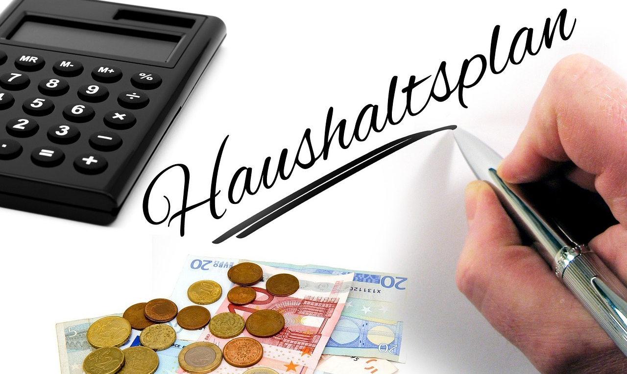 Haushaltsplan 2025