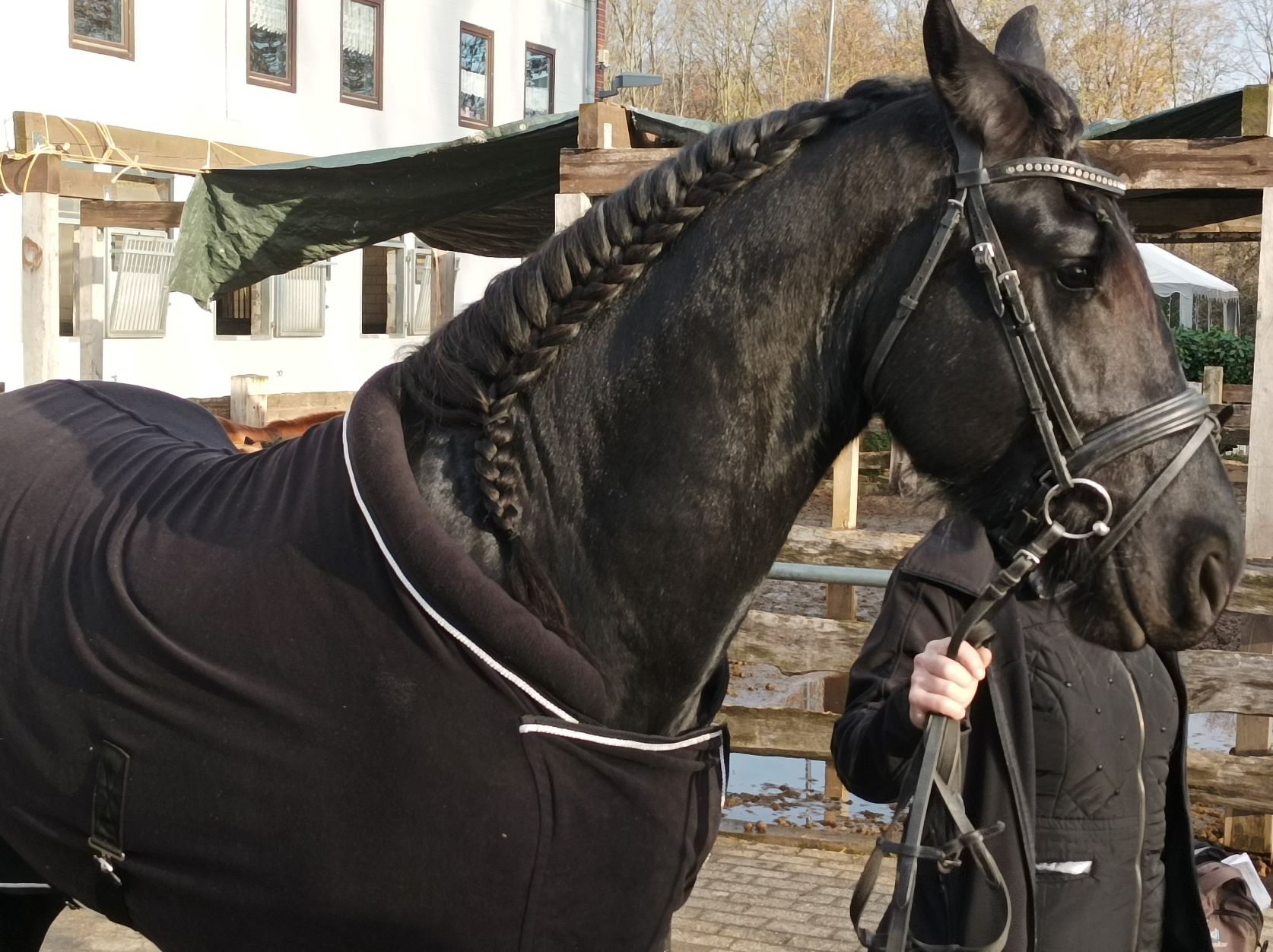 Menschen mit Handicaps freuen sich über „Jesaja“