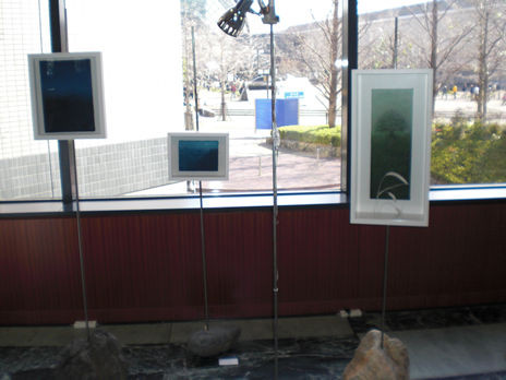 個展＠Gallery at the HYATT 62nd Exhibition ハイアット・リージェンシー・大阪ロビー　2009.2.2-3.1　