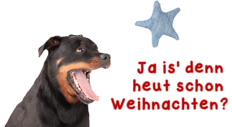 Weihnachten UNIQUE DOG