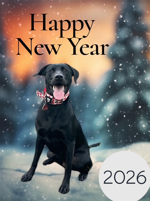 Neujahrsgrüße