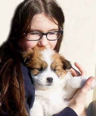 Hund für Kinder Rasse