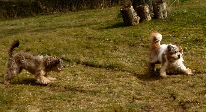 Also, einfach weiter spielen, lohoooos....