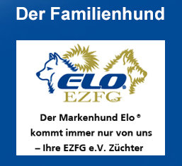 Familienhund