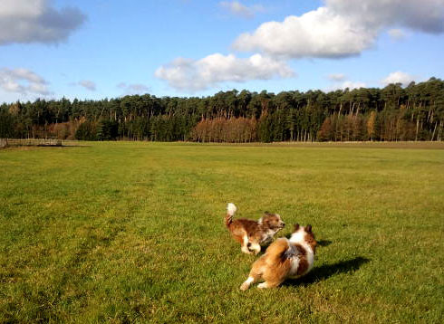 ...und ein wunderbares Wetter im November.