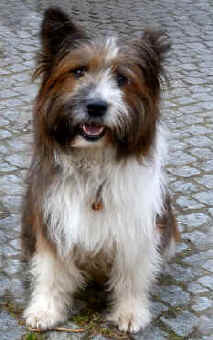 Ach jaaaa - und Candy ist schwanger :-))).