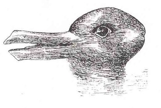 Ente oder Kaninchen oder Hase? Kuhn verwendete diese bekannte optische Illusion von Jastrow, um zu veranschaulichen, dass sich bei wissenschaftlichen Revolutionen die Wahrnehmung der Wissenschaftler radikal ändert.